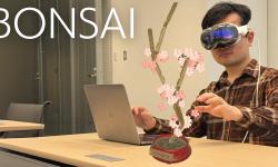 Featured image of post 『BONSAI』